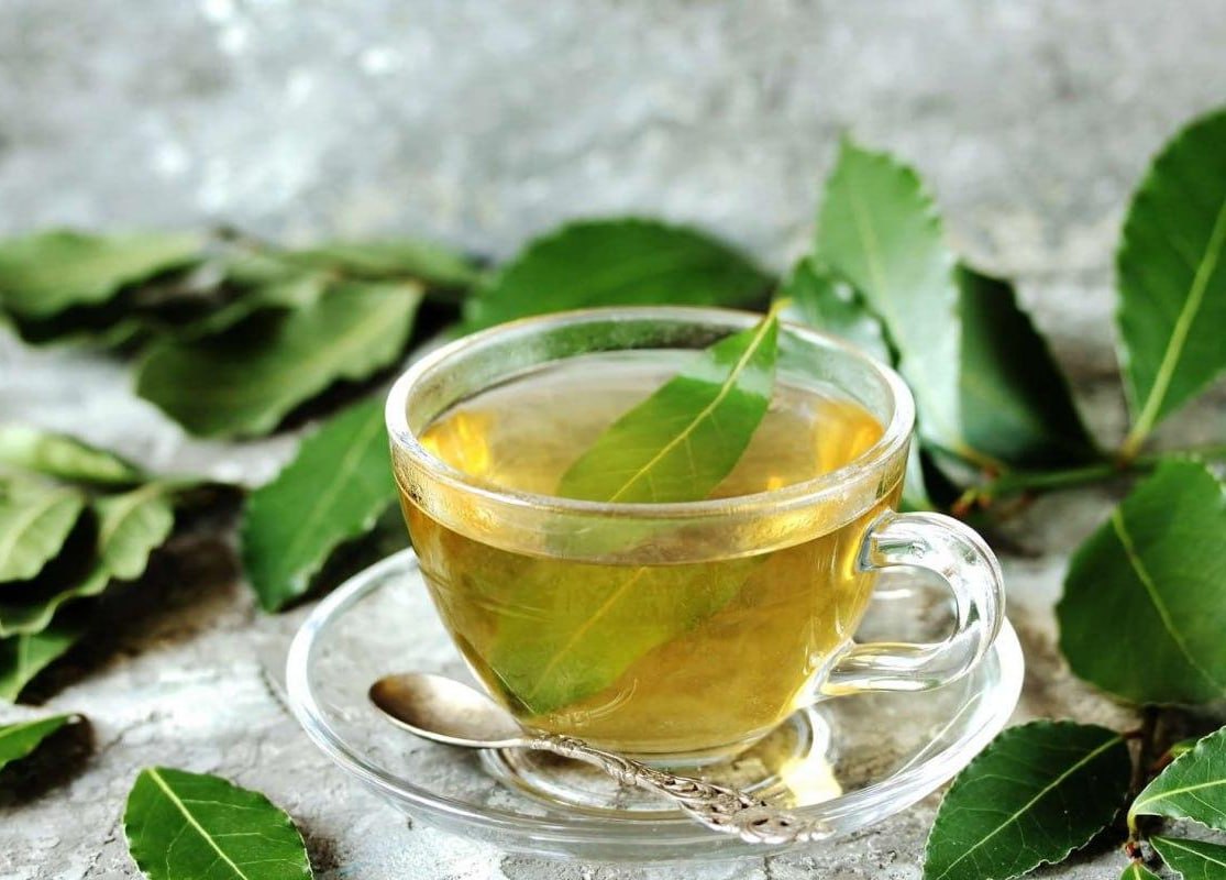 Korzyści płynące z wywaru z liści laurowych